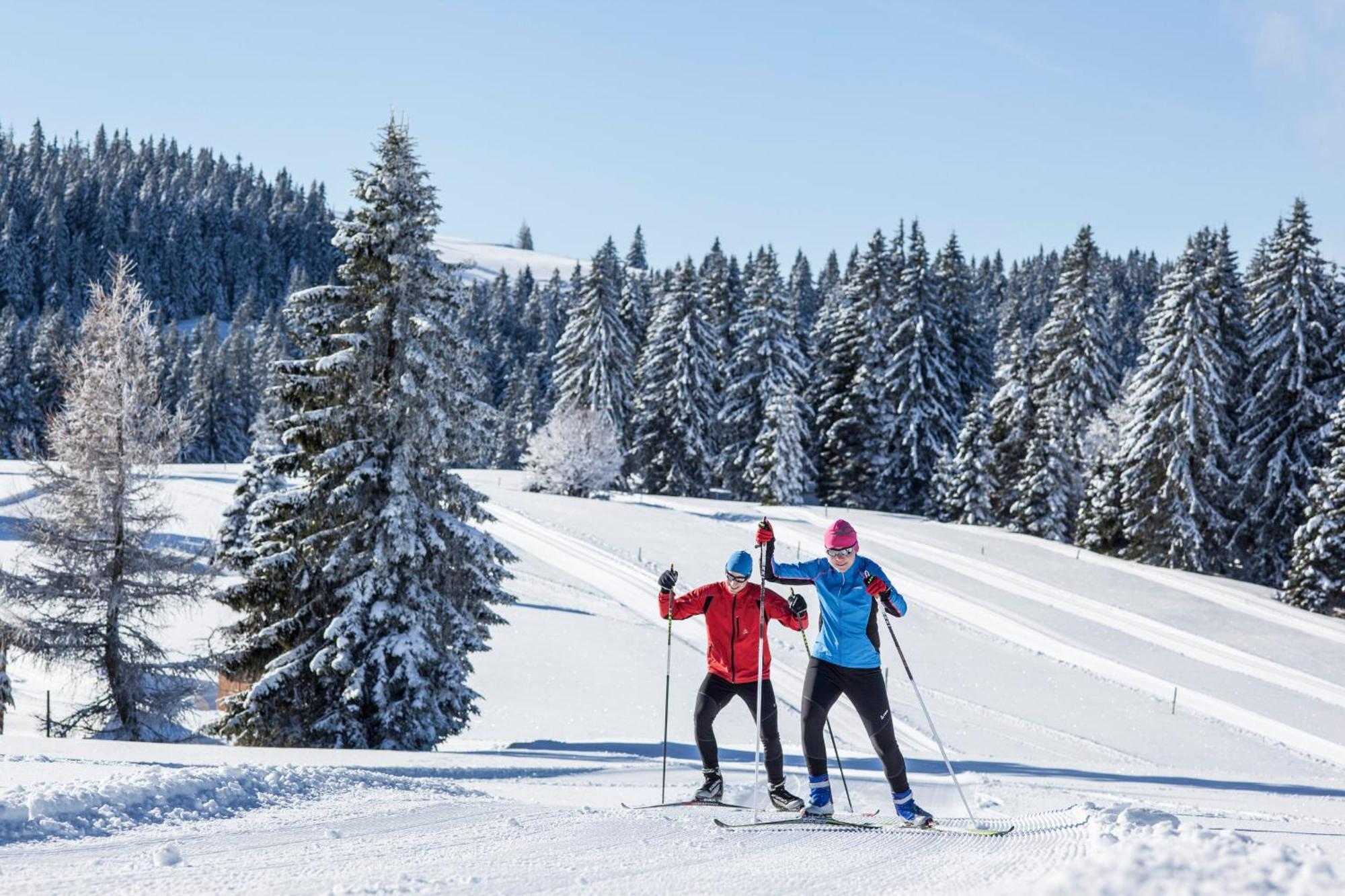 Ferienwohnung Seeblick Nr 5, 2 Zi-Baerental, Feldberg Rotwasser Exterior foto