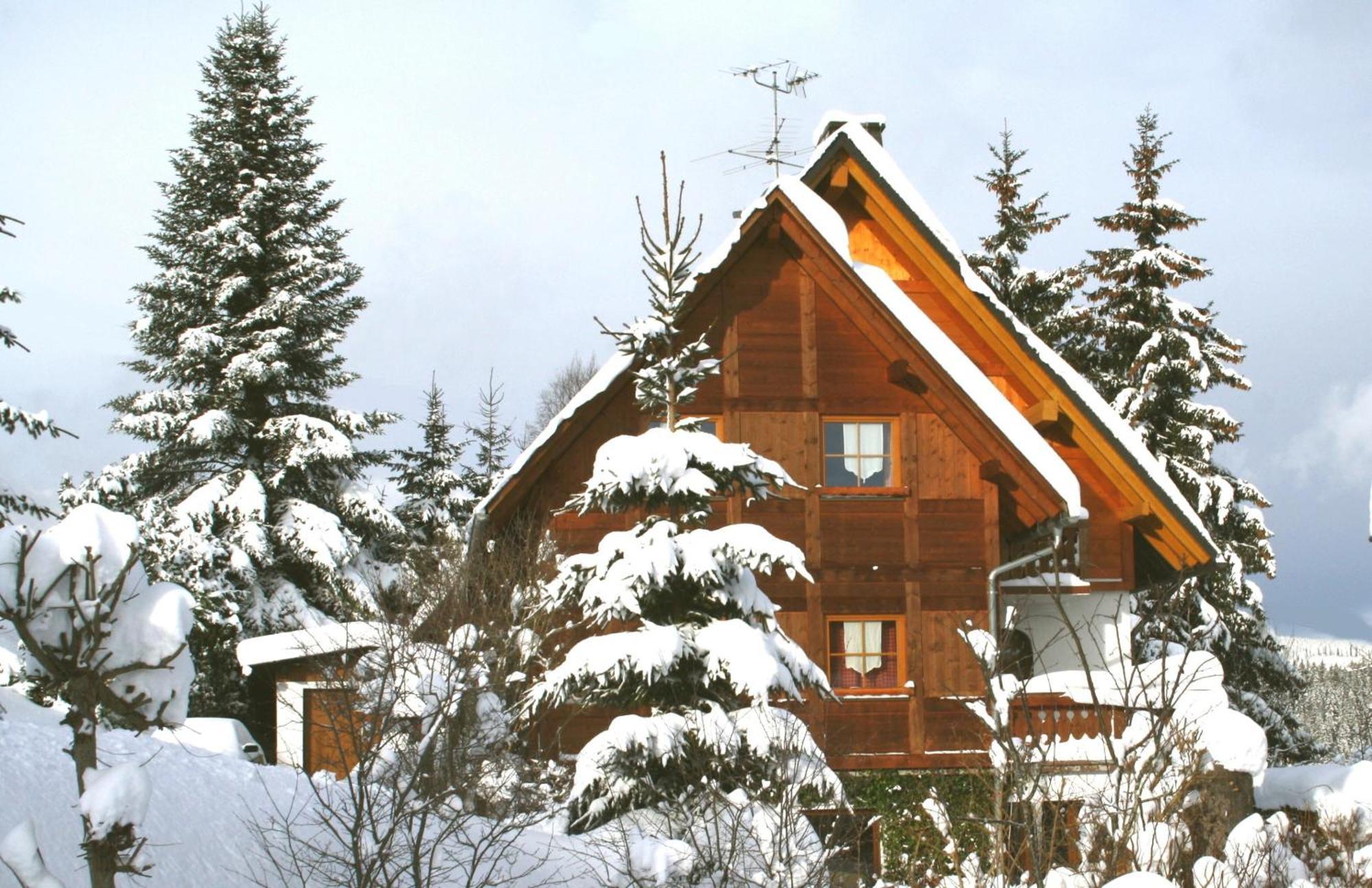Ferienwohnung Seeblick Nr 5, 2 Zi-Baerental, Feldberg Rotwasser Exterior foto